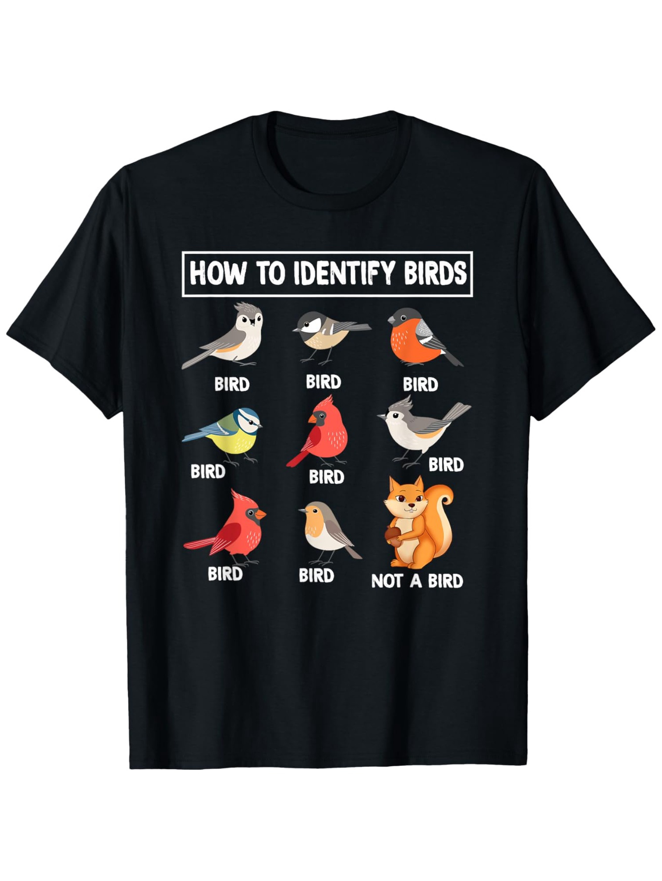 How To Identify Birds, Non-bir - đánh giá và giá Summer Clothing Pictures